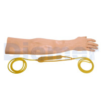 Skin And Veins Arm Iv Nursing Mannequin / Megacode Kelly
